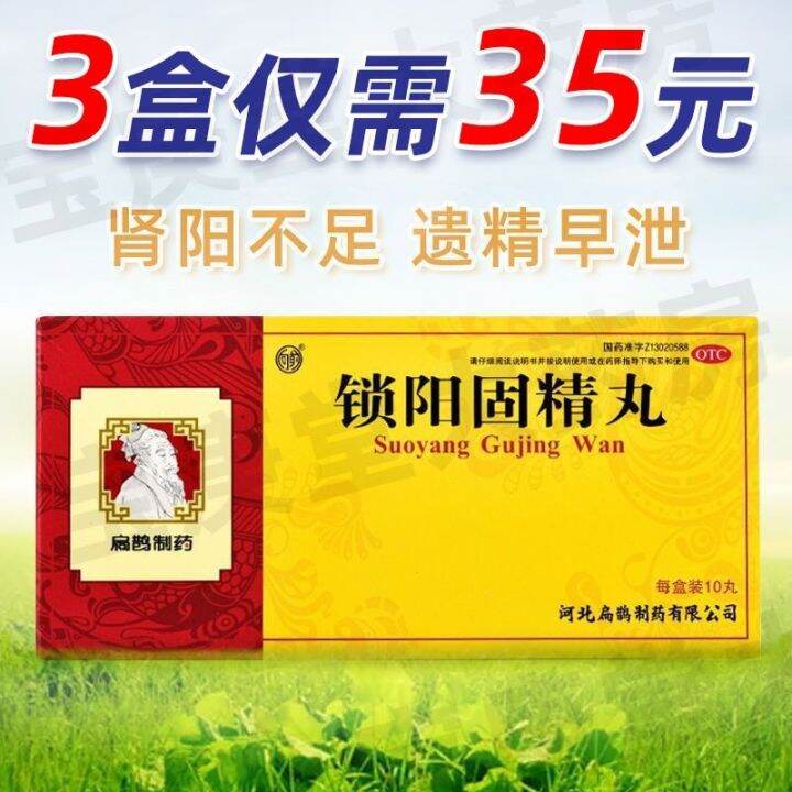 Que Suoyang Gujing Pills 10 Warming the Kidney and for Insufficiency ...