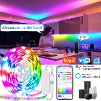 ไฟแถบไฟ LED USB TUYA สมาร์ทไลฟ์ RGBIC Dreamcolor ไฟแถบไฟ LED ไล่ล่าไฟสนับสนุน Alexa Google ตกแต่งห้อง