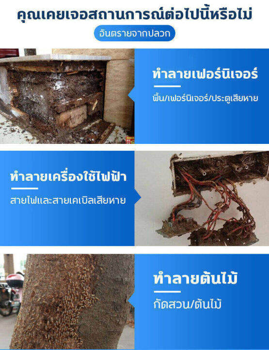 ยากำจัดปลวก-ป้องกันได้-10-ปี-น้ำยากำจัดปลวก-ปลวกตายทั้งรัง-ยาฆ่าปลวก-ไม่ฉุน-ไม่มีสารเคมี-ไม่เป็นอันตรายต่อคน-เหยื่อกำจัดปลวก-กำจัดปลวก-กำจัดมด-ยาฆ่ามด-เชนไดร้ท์ปลวก-ยากำจัดมด-ซันเจี่ยฆ่ามด-ยาฉีดปลวก-ก