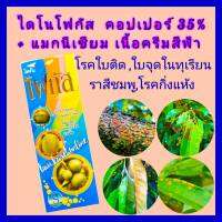 คอปเปอร์ คอปเปอร์น้ำ กำจัดเชื้อรา เชื้อราในทุเรียน ไดโนโฟกัส 1 ลิตร กำจัดโรคใบติด ใบติด โรคใบไหม้ ใบจุดสาหร่าย ราสีชมพู ชนิดสัมผัส