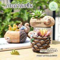 กระถางเรซินกระรอก Squirrel Resin Pots กระถางไม้อวบน้ำ กระถางต้นไม้ กระถางกุหลาบหิน แต่งสวน ของขวัญ ของชำร่วย ต้นไม้