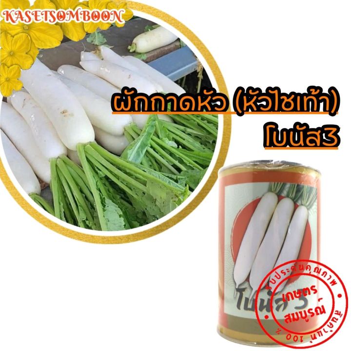 ผักกาดหัว-หัวไชเท้า-โบนัส3-เมล็ดพันธุ์-450-ก-ตราช้าง-เป็นที่ต้องการของตลาด-ยืดอายุการตัดได้นาน