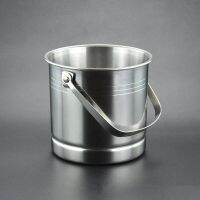 Fashion portable ice-pail handle ice-pail stainless steel ice buckets with tongs 1L