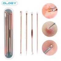 4PCS Blackhead Removal Needles Black Dots Cleaner Stainless steel Spot Extractor Face Skin Acne Treatment Set Face Clean Tool