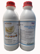 Nhập RS0822 giảm 30k cho đơn 99kHương và màu Kularome Tinh sữa Tự Nhiên