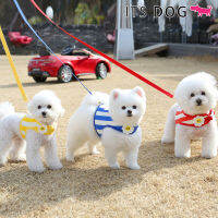 [ผลิตในเกาหลี] Itsdog ชุดสายรัดดอกเดซี่ หน้ายิ้ม (3 สี 4 ขนาด)