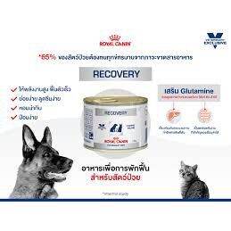 อาหารสัตว์ป่วย-พักฟื้น-royal-canin-recovery-exp-24-04-23