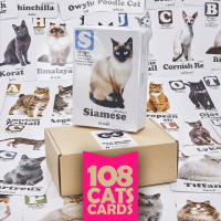 แฟลชการ์ด พันธุ์แมว Flash Cards Worlds Most Adorable Cat Breeds บัตรคำ การ์ดคำศัพท์ เนิร์ดดี้อาว (Nerdy Owl) จำนวนมากที่สุดถึง 108 ใบ ของเล่นเสริมพัฒนาการ