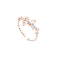 Flower Ring Zircon Opening Adjustable Index Finger Ring Women Decoration Accessories