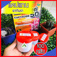 (ส่งฟรี)? ยากันราแคปแทน แบ่งขาย 100 กรัม ยากันเชื้อราแคคตัส cactus ยากันรา ชนิดผง  (Captan - Captacide 50)  แคปแทน  แคคตัส ไม้ประดับ?