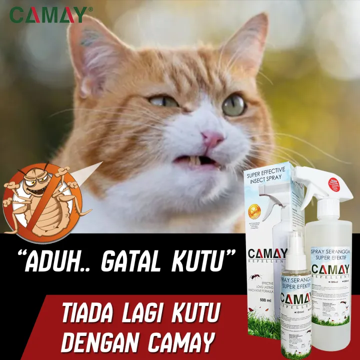 Camay Repellent Spray Kutu Kucing Cat Flea Lice Spray 500ml Lazada