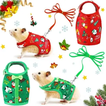 PetSmart's Christmas Costumes Will Make Your Guinea Pig the Most