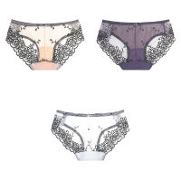 3 Pcs Embroidered Briefs For Woman Sexy Lace Mesh Panties Solid Underwear Woman Underwear Feamle Panties Sexy New M-XL BANNIROU