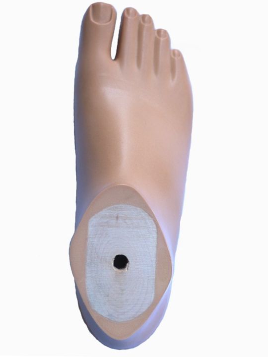 and-leg-prosthetic-foot-board-double-hole-single-movable-ankle-polyurethane-fork