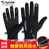 Woodpecker riding gloves mens winter outdoor touch screen motorcycle waterproof and windproof womens warm fleece sports gloves