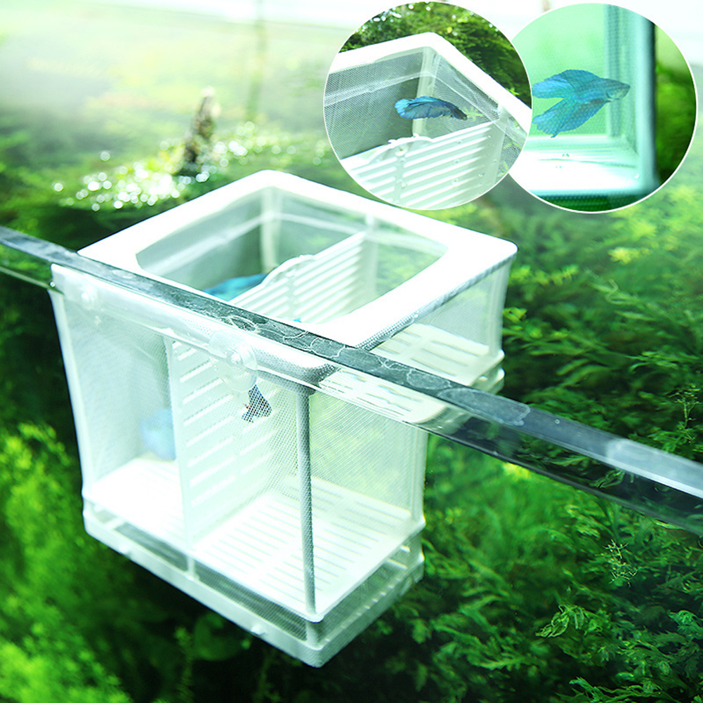 Aquarium Fish Tank Guppy Breeding Breeder Fish Baby Gauze Trap Box Isolator Useful and Practical 