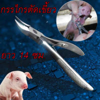 ถูก กรรไกรตัดเขี้ยวหมู กรรไกรตัดเขี้ยว สแตนเลส ยาว14cm กรรไกรตัดฟันสัตว์เลี้ยง รุ่นพิเศษด้ามจับกันลื่น