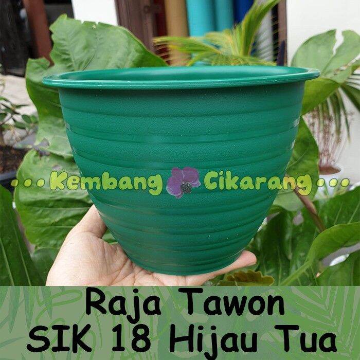 Pot bunga RAJA TAWON SIK 18 HIJAU TUA cantik tebal kuat - Kembang ...