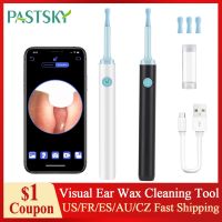 Wireless Visual Ear Pick Ear Cleaning Tool 3.9mm Luminous Endoscope High-definition Otoscope Ear Picking Spoon Ear Wax Cleaning