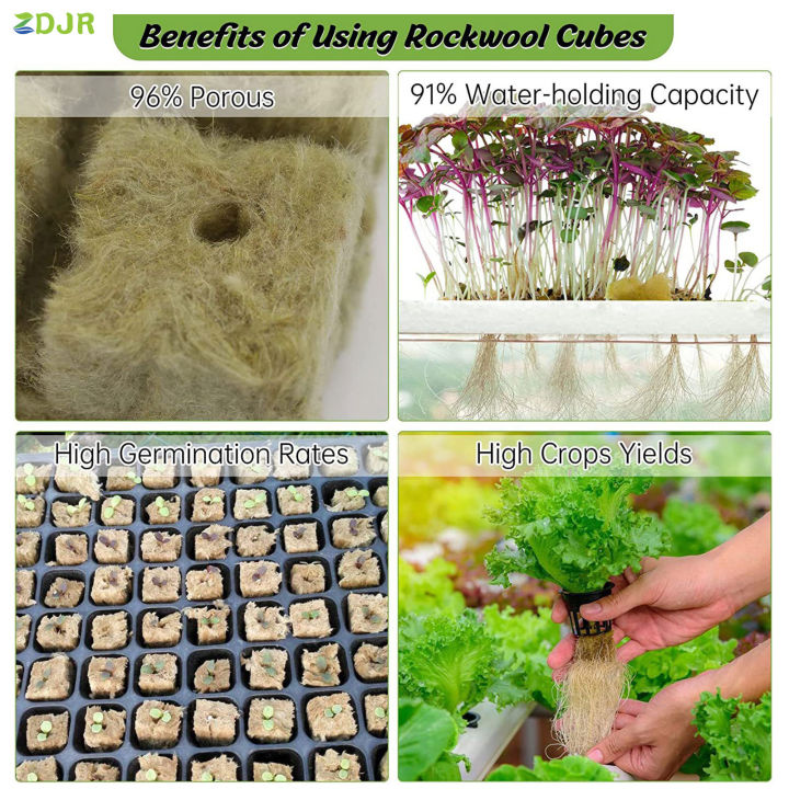 zdjr-ถ้วยหินก้อนขนแกะไฮโดรโปนิกส์ต้นกล้าพืชอุปกรณ์การเพาะปลูกแบบไร้ดินสำหรับรูปดอกไม้ต้นไม้ไฮโดรโปนิกส์