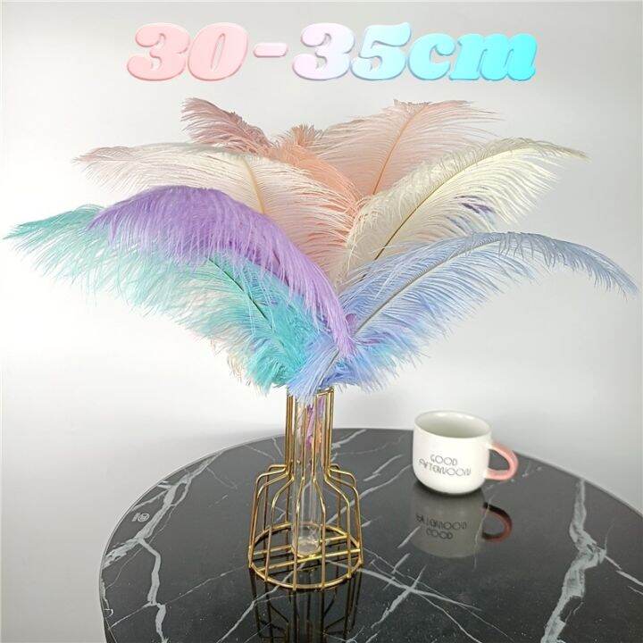 10pcs-lot-colorful-ostrich-feather-centerpieces-for-wedding-table-handicraft-accessories-dream-catcher-plume-carnival-decoration