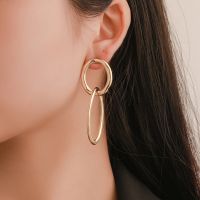 [COD] European and ins creative geometric earrings fashion street photography exaggerated oval net red style hot selling