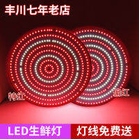 LED ไฟสด, ไฟหมู, ไฟเนื้อสดเย็น, ไฟอาหารปรุงสุกผัก, ไฟผลไม้, ไฟพิเศษสำหรับขายเนื้อดิบ .