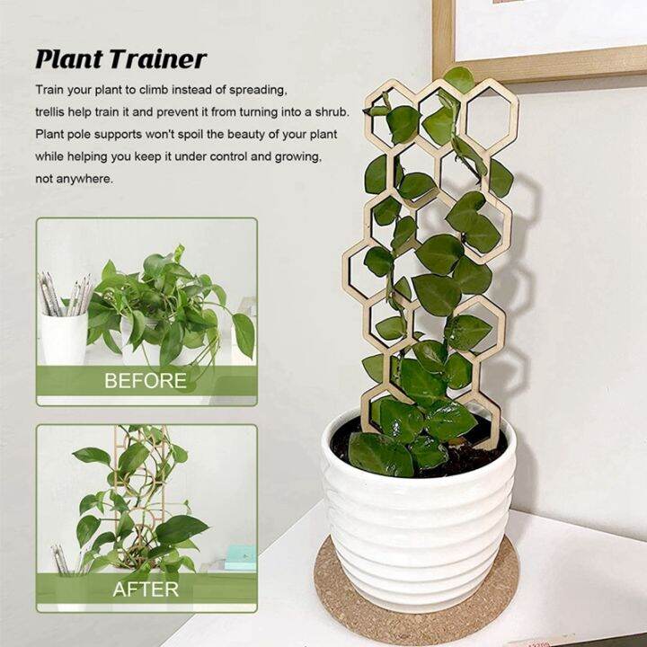 3pcs-climbing-vine-rack-plant-potted-wooden-support-frame-flower-decorative-trellis-bracket-vines-climbing-rack-pole