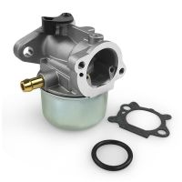 Mechanical Carburetors For Briggs Stratton 498170 Carburetor 799868 497586 Carburetor Spare Parts