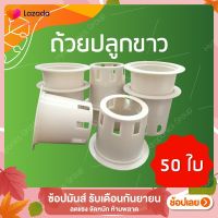 ถ้วยปลูกผักไฮโดรโปนิกส์สีขาว 1 ชุด จำนวน 50 ใบ by hydroponicgroup