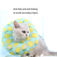 Cat Dog Collar Multiple Colors Animal Image Grooming Head Cover Anti-Lick Anti-Bite Protective Cover Shame Circle