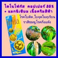 คอปเปอร์ คอปเปอร์น้ำ น้ำครีมสีฟ้า กำจัดเชื้อรา เชื้อราในทุเรียน ไดโนโฟกัส 1ลิตร ยาทุเรียน ใบติด ใบติด โรคใบไหม้ ใบจุดสาหร่าย ราสีชมพู