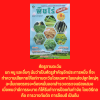 หนังสือเกษตร แนวทางและแบบอย่างการเพาะปลูกพืชไร่ เงินล้าน : การปลูกพืชไร่เศรษฐกิจ ข้าวโพดฝักอ่อน ทานตะวัน