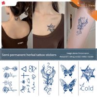 Fruit Juice Tattoo Hand Stick Semi Permanent Herbal Plant Fresh Mini Map Simple Temporary Tattoos Stick size: 70x120mm