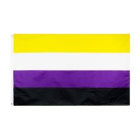 3x5ft  Free Shipping Gay Pride Non Binary Flag  Power Points  Switches Savers