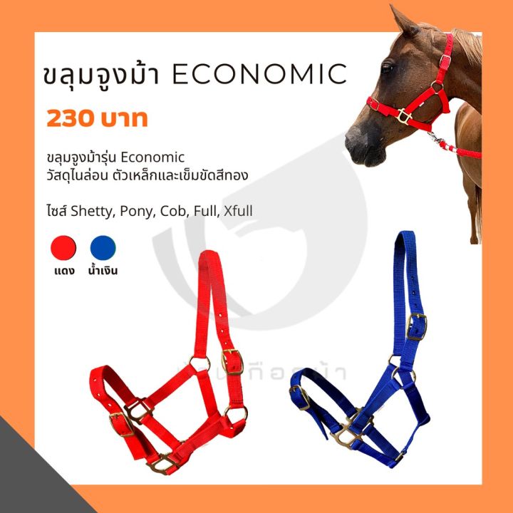 ขลุมม้า-รุ่น-economic-บริการเก็บเงินปลายทาง-สำหรับคุณ