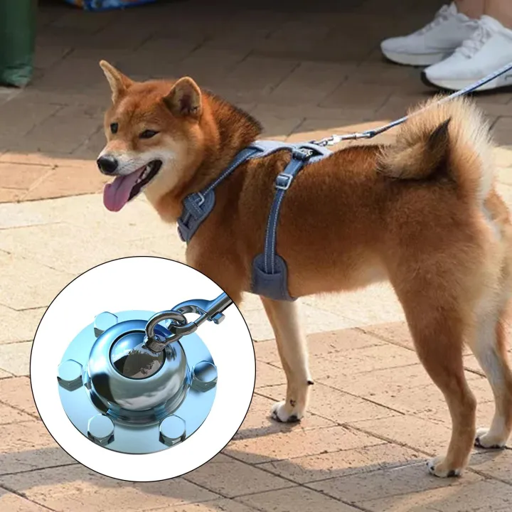 Loviver Heavy Duty Yard Dog Stake Medium Large Dogs Leash Stake, Dog