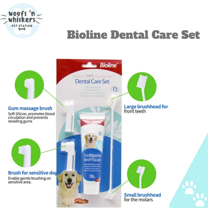 Bioline Dental Care Set (Toothpaste & Toothbrush) Lazada PH