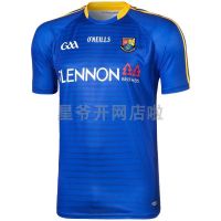 High qual Longford the GAA Home Jersey 2021 Irish olive suit Longford Home football clothes