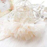 Lace Hollow Princess Dress Pet Clothing Dogs Sweet Dog Clothes Costume Small French Bulldog Sold Cute Summer White Girl Mascotas Dresses