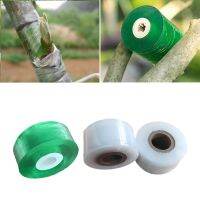 1 Roll of Environmental Protection Grafting Tape Garden Tools Fruit Tree Pruning Shears Grafting nch Strapping Tape