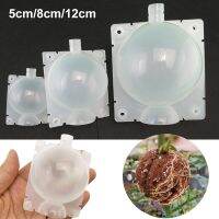 【hot】✢✣☽  Transparent Propagation tree Rooting branch grow box pots Pressure Graft Breeding 5cm 8cm 12cm