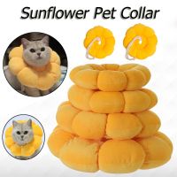 Pet Collar Anti Bite Surgery Anti Lick Wound Healing Protection Sunflower Shaped Cat Recovery Collar Elizabethan Collar Cats