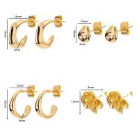 ？》：“： Stainless Steel Earrings For Women Luxury  Color Hoop Earrings Vintage Wedding Engagement Aesthetic Jewerly Free Shipping