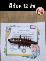 สินค้าพร้อมส่ง จุกรินเหล้า ที่รินเหล้า สีช็อคโกแลต12 ชิ้น อย่างดี (Pourer Chocolate)