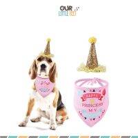 Pet Birthday Set (Set 2 ชิ้น) หมวกปาร์ตี้น้องหมา รูปกรวยพร้อมระบาย+ผ้าพันคอ