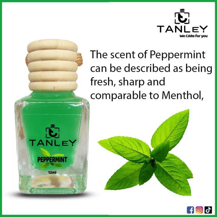 Tanley 12ML Peppermint Hanging Diffuser Car and Room Air Freshener Car