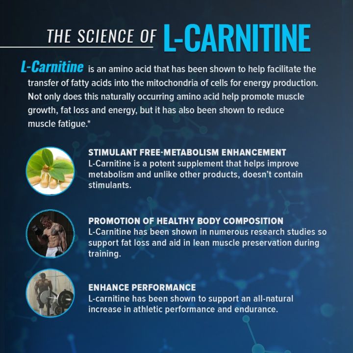 แอล-คาร์นิทีน-optimized-carnitine-60-vegetarian-capsules-life-extension