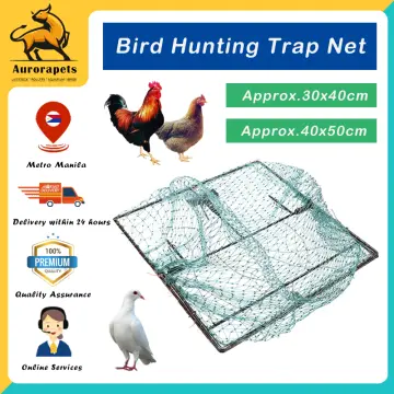 Shop Chicken Trap Net with great discounts and prices online - Feb