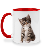 แก้วมินิมอล little kitten ลูกแมวน้อย แก้วพิมพ์ลาย แก้วมัค twotone coffee mug